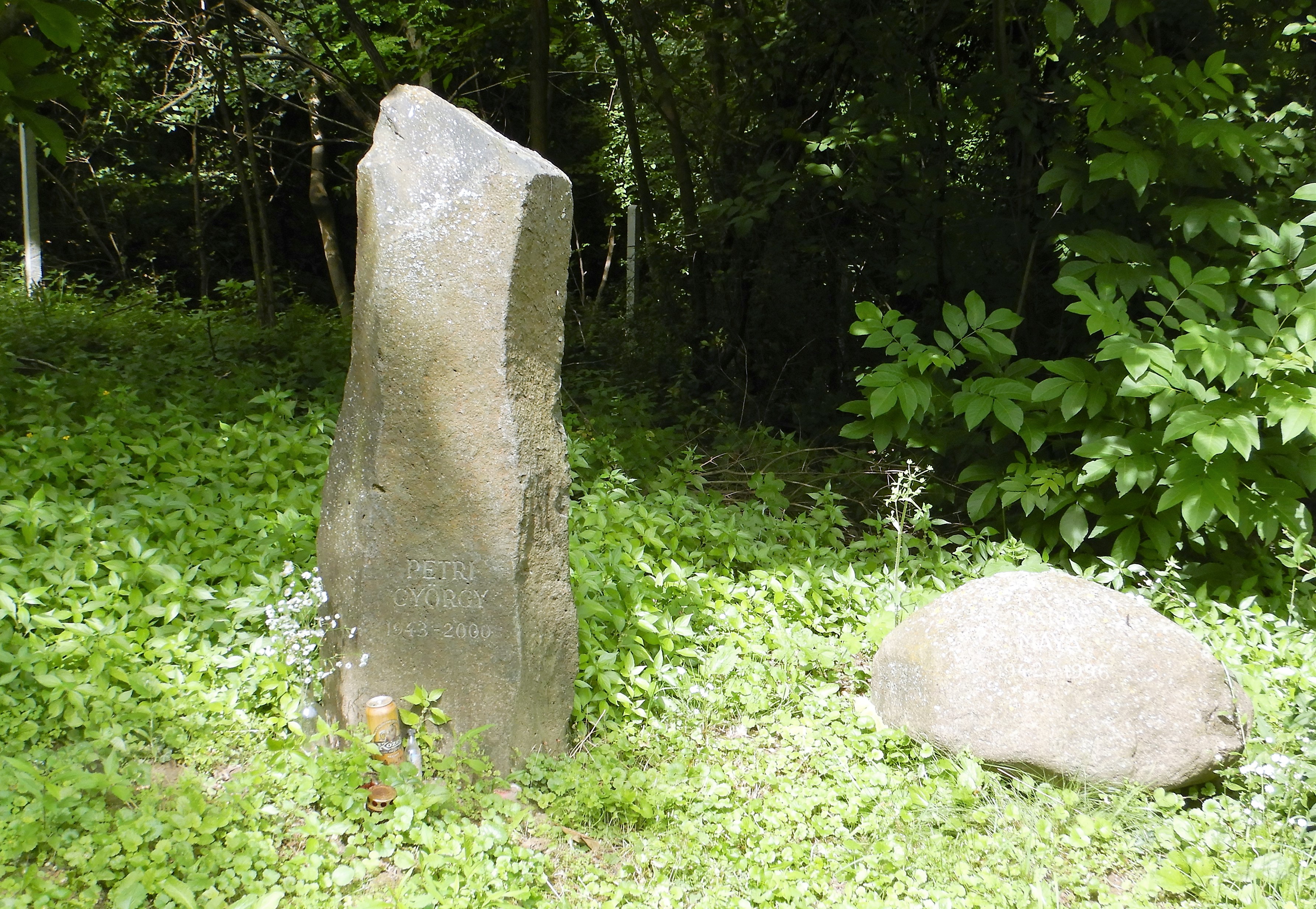 1049.jpg