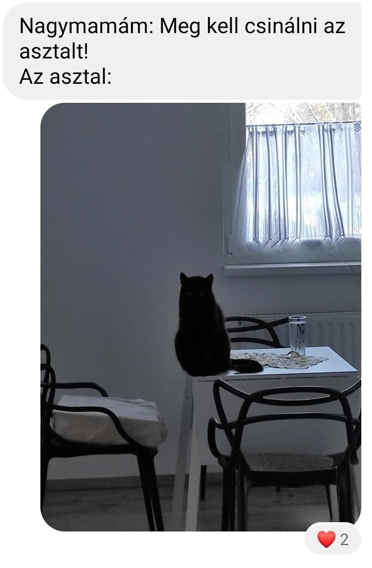 Gordon, a mém